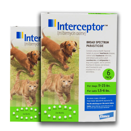 Interceptor plus hot sale cats